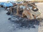 2022 Tesla Model 3  for Sale in San Diego, CA - Burn
