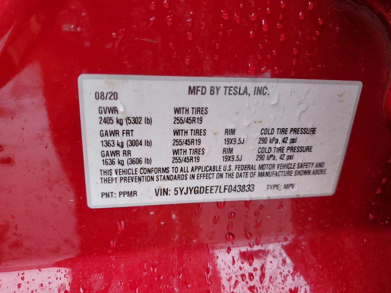 VIN 5YJYGDEE7LF043833 2020 TESLA MODEL Y no.13