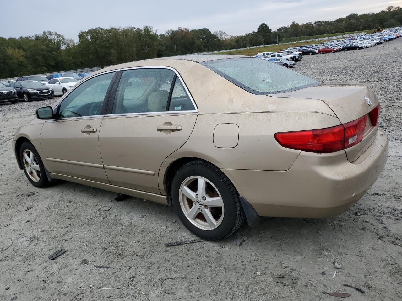 2005 Honda Accord - Image 2
