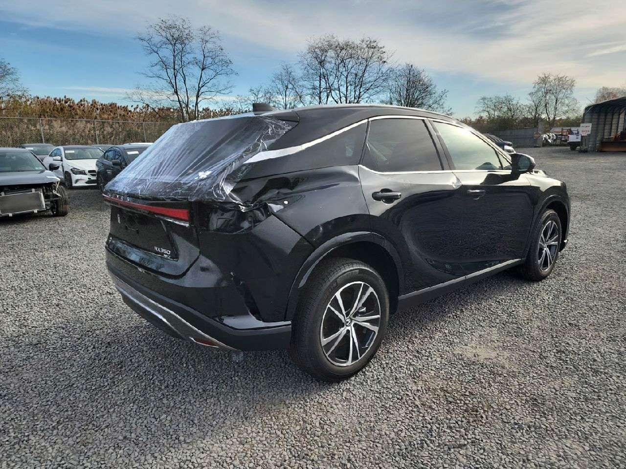 2024 Lexus RX - Image 4