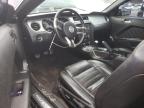 2013 Ford Mustang Gt for Sale in Madisonville, TN - Rear End