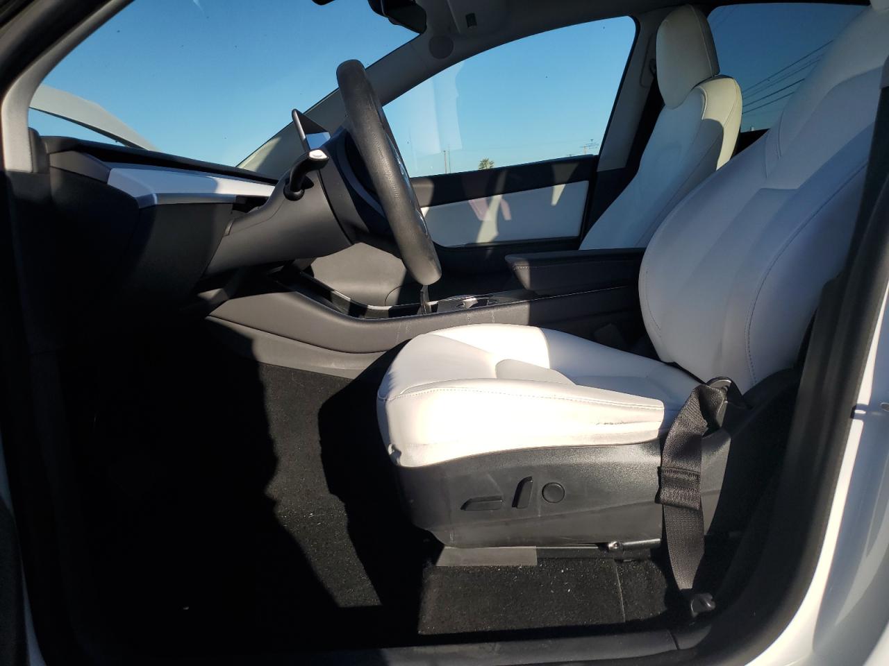 2020 Tesla Model Y VIN: 5YJYGDEE1LF017728 Lot: 80281974