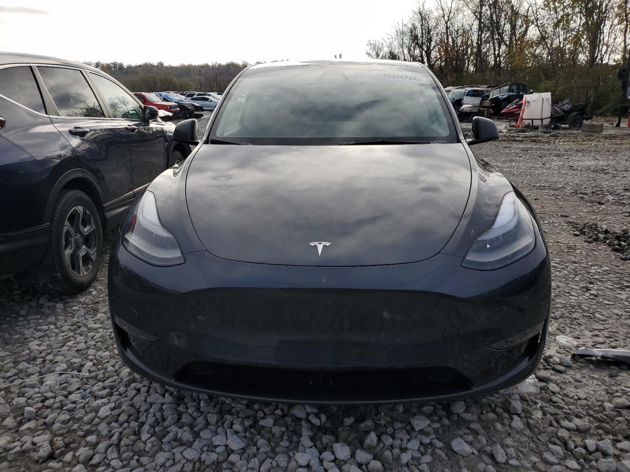 VIN 7SAYGDEE2RA227165 2024 TESLA MODEL Y no.5