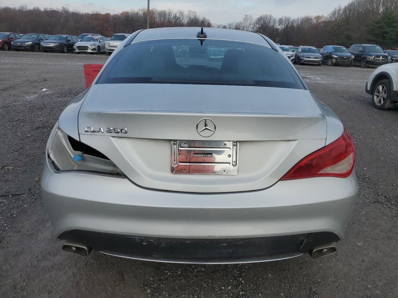 2014 Mercedes-Benz Cla 250 VIN: WDDSJ4EB6EN050814 Lot: 80908514