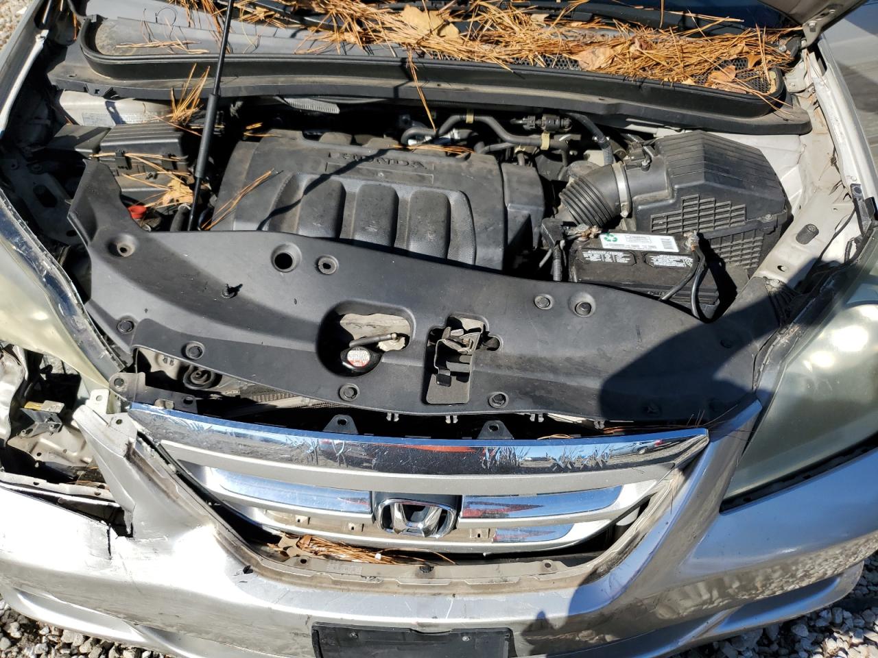 2007 Honda Odyssey Exl VIN: 5FNRL38777B459281 Lot: 80930004