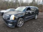 2011 CADILLAC ESCALADE ESV PREMIUM for sale at Copart ON - COOKSTOWN