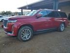 2021 Cadillac Escalade Esv Premium Luxury Platinum for Sale in Tanner, AL - All Over