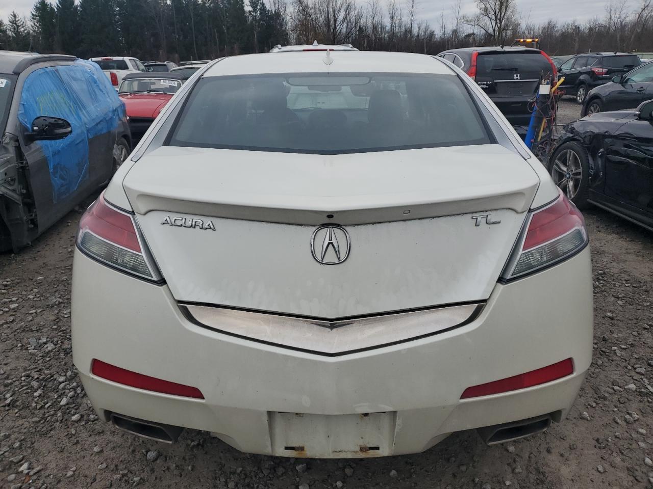 2009 Acura Tl VIN: 19UUA86559A005817 Lot: 79998624