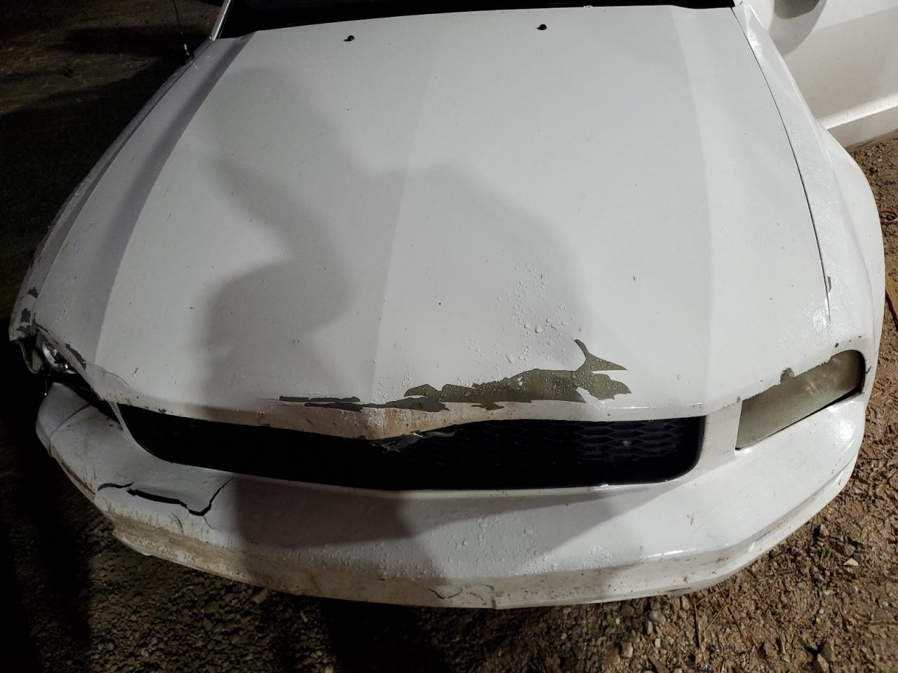 2006 Ford Mustang VIN: 1ZVFT84N565264216 Lot: 81636564