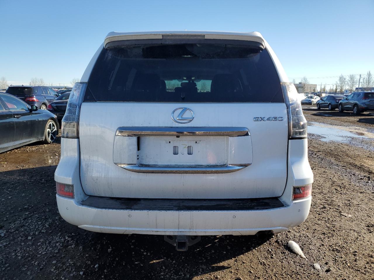 2015 Lexus Gx 460 Premium VIN: JTJJM7FX5F5117846 Lot: 79465814