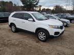 2013 Kia Sorento Lx en Venta en North Billerica, MA - Minor Dent/Scratches