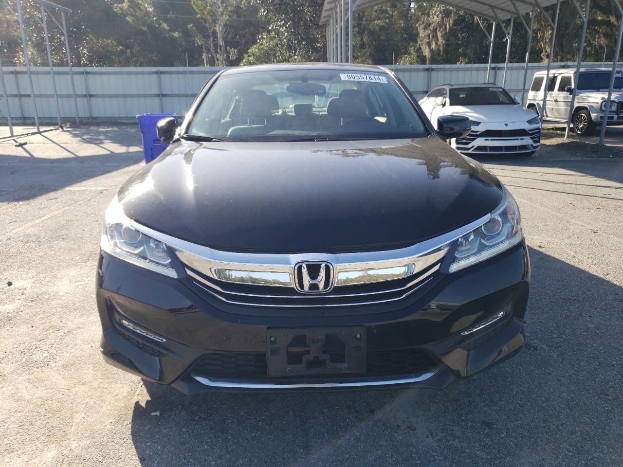 2016 Honda Accord Exl VIN: 1HGCR2F85GA124752 Lot: 80557814