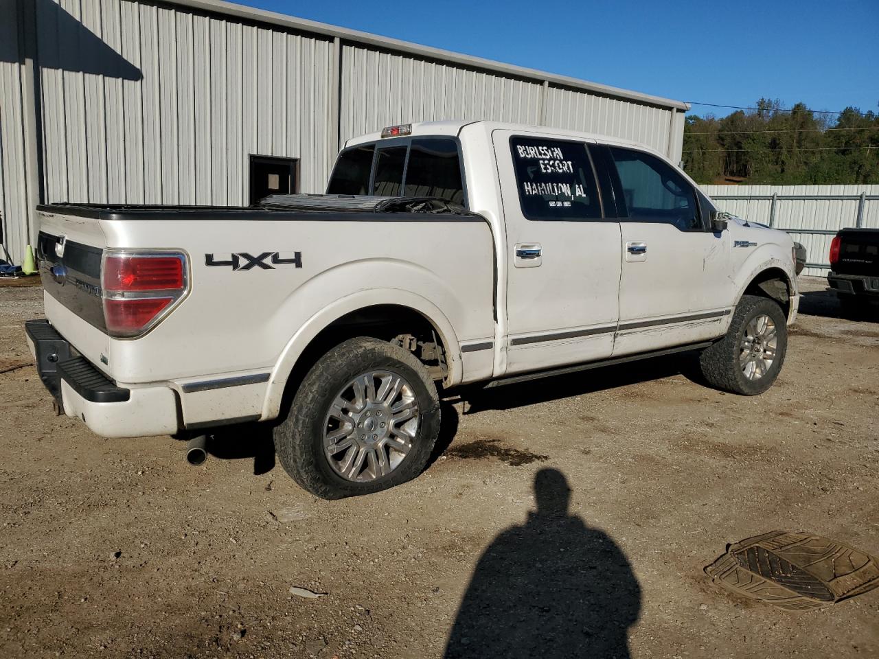 2010 Ford F-150 - Image 3