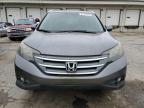 2013 Honda Cr-V Exl zu verkaufen in Louisville, KY - Minor Dent/Scratches