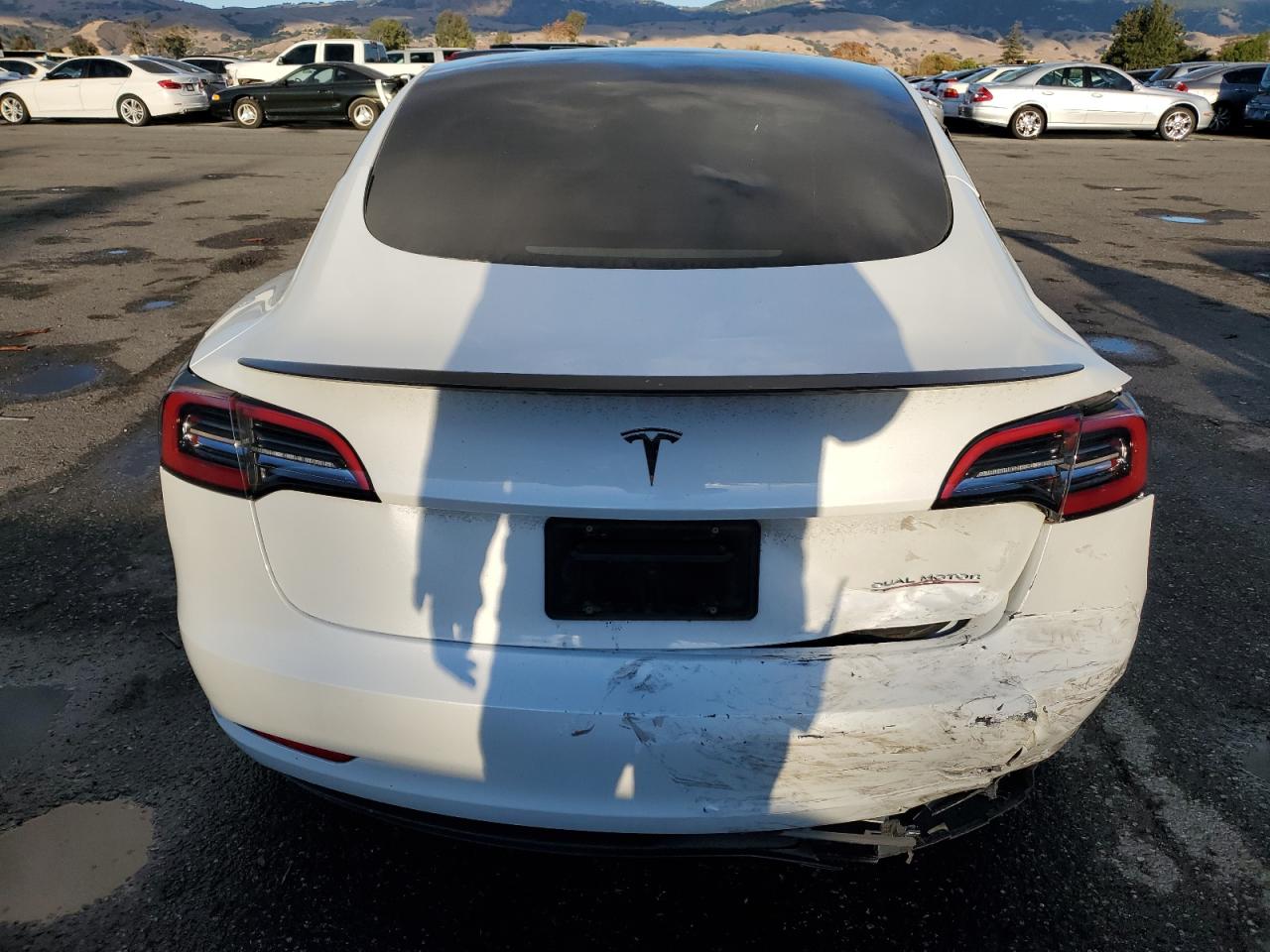 2023 Tesla Model 3 VIN: 5YJ3E1EC8PF557791 Lot: 80323654