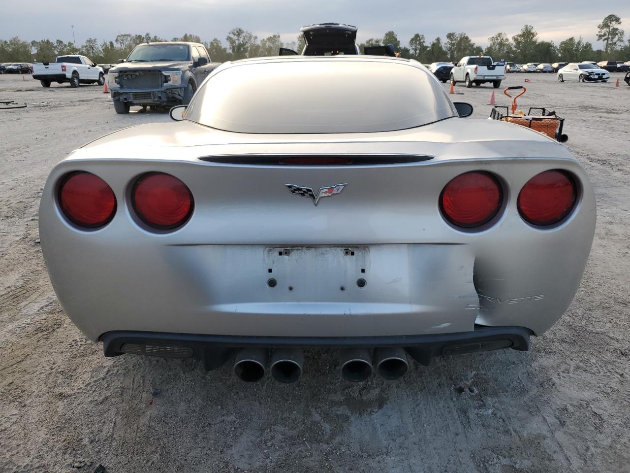 2005 Chevrolet Corvette VIN: 1G1YY24U955118376 Lot: 79534444