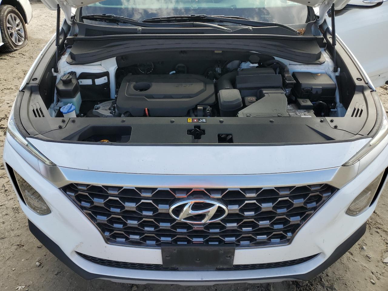 2020 Hyundai Santa Fe Sel VIN: 5NMS3CAD8LH272416 Lot: 79265504