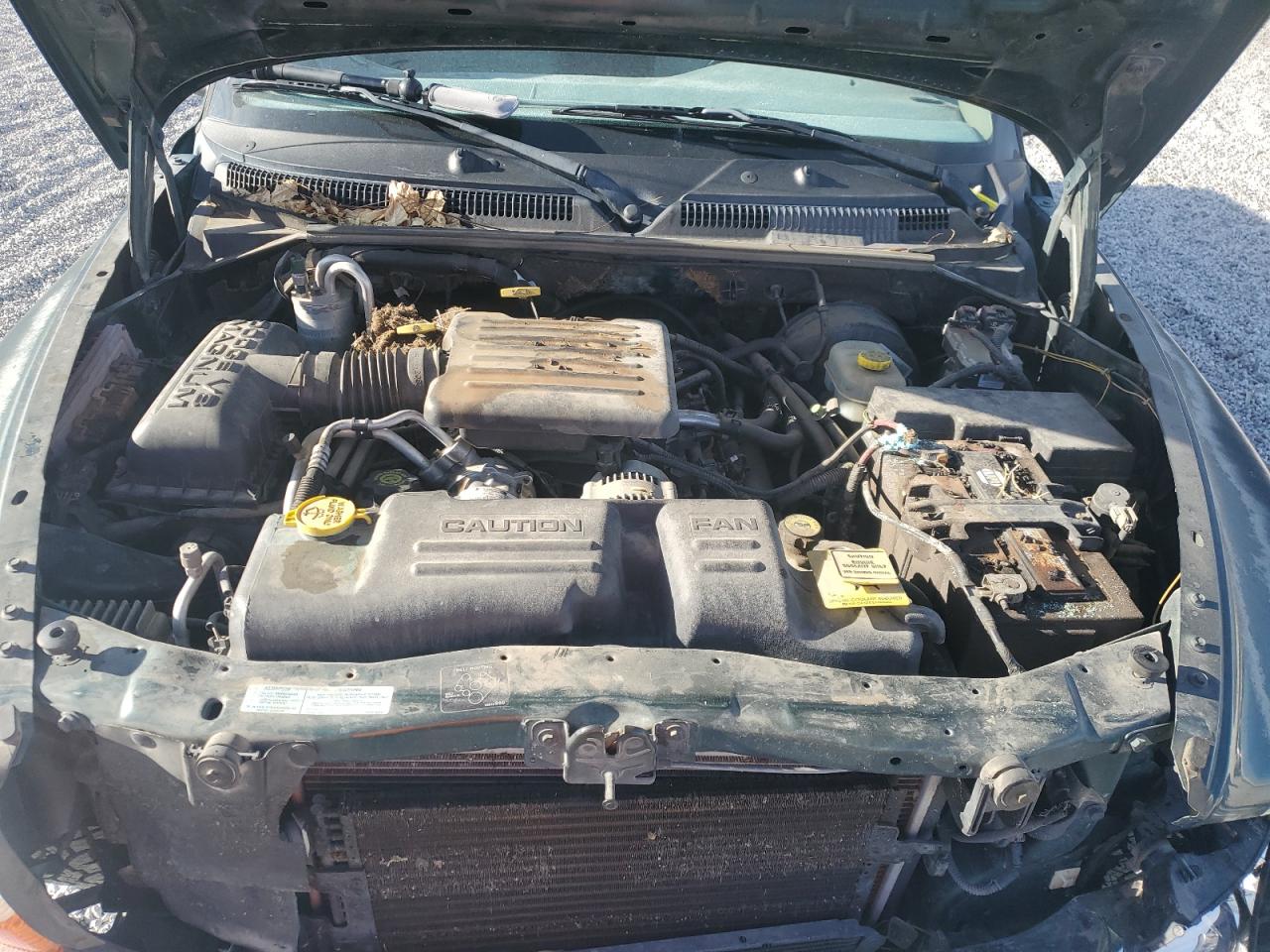 2001 Dodge Dakota - Image 12