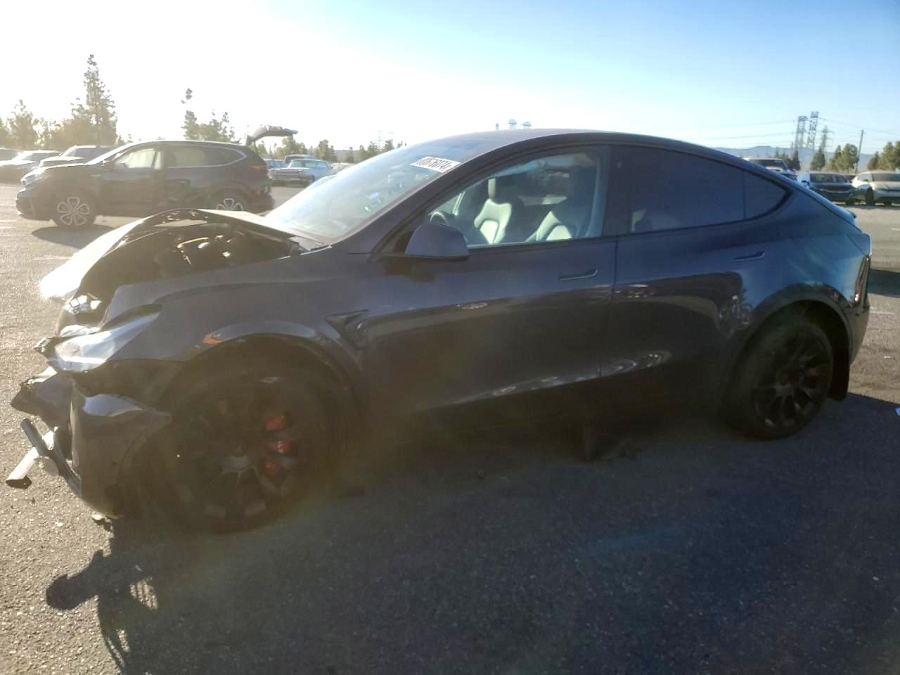 5YJYGDEE8MF181124 2021 TESLA MODEL Y - Image 1