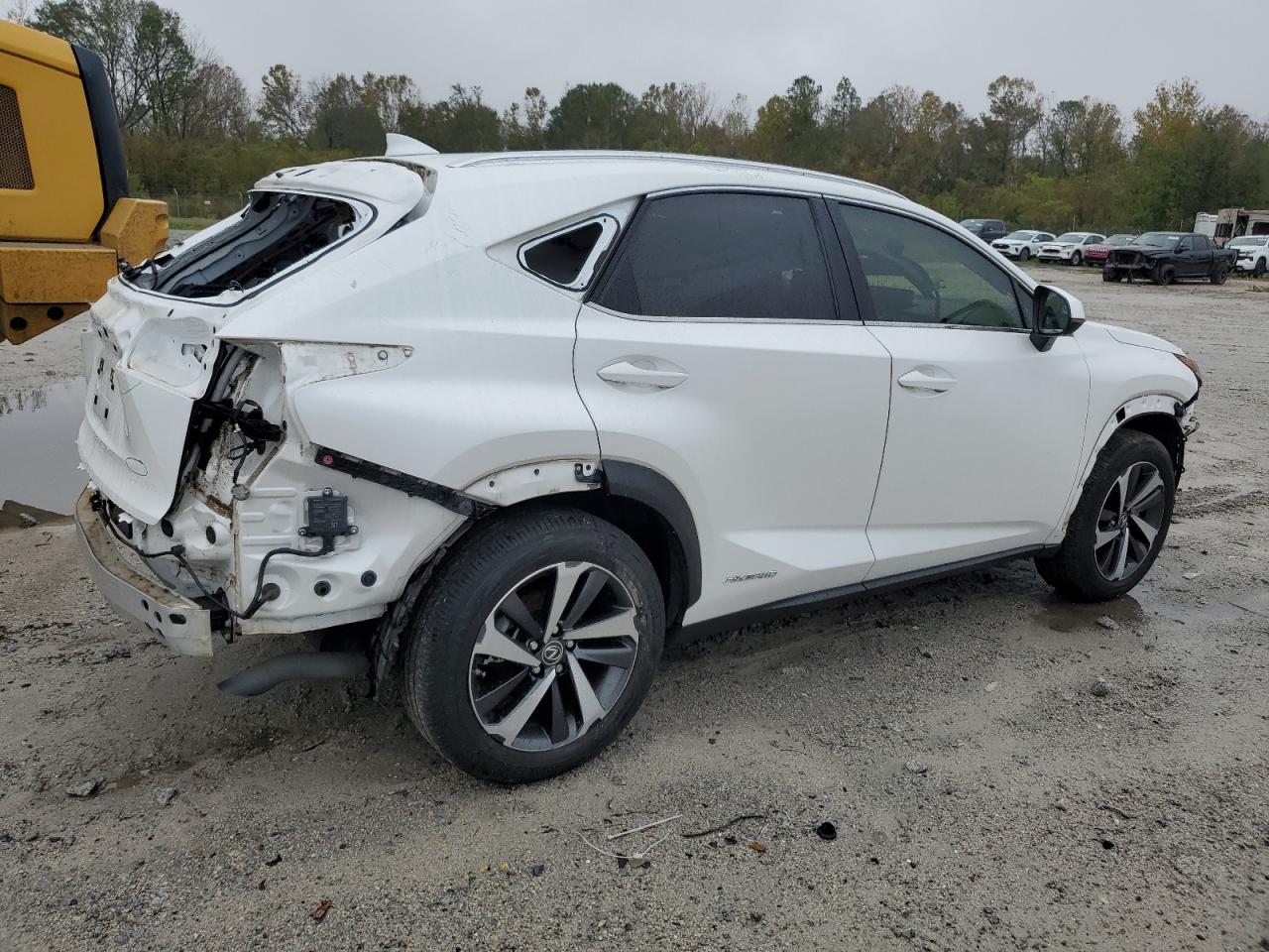 VIN JTJGJRDZXL5009737 2020 LEXUS NX no.3