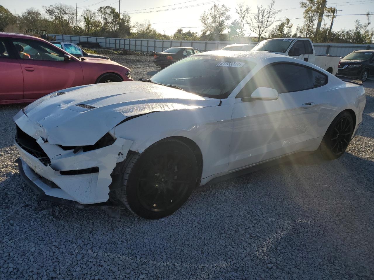 2019 Ford Mustang - Image 1