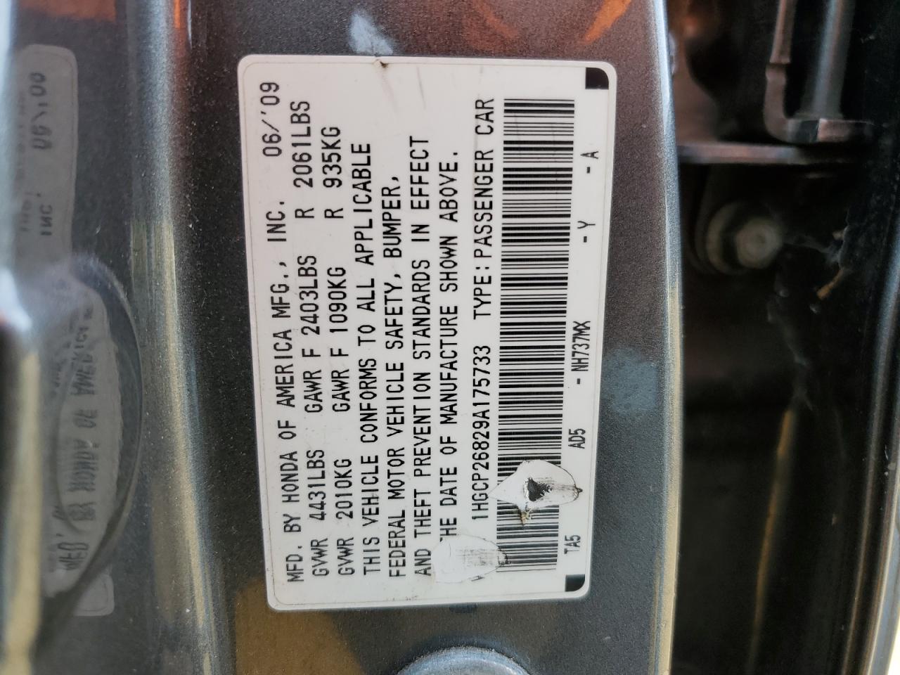 2009 Honda Accord Exl VIN: 1HGCP26829A175733 Lot: 81375704