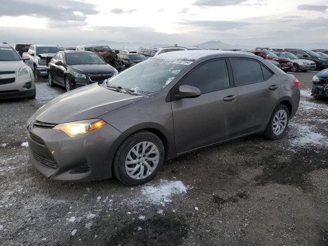  TOYOTA COROLLA 2019 Коричневый