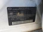 2013 Hyundai Sonata Gls na sprzedaż w Prairie Grove, AR - Front End