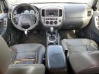 2006 Ford Escape Xlt zu verkaufen in Phoenix, AZ - Front End