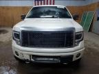 2009 Ford F150 Supercrew იყიდება Kincheloe-ში, MI - Front End