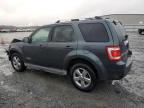 2008 Ford Escape Limited للبيع في Gastonia، NC - Front End