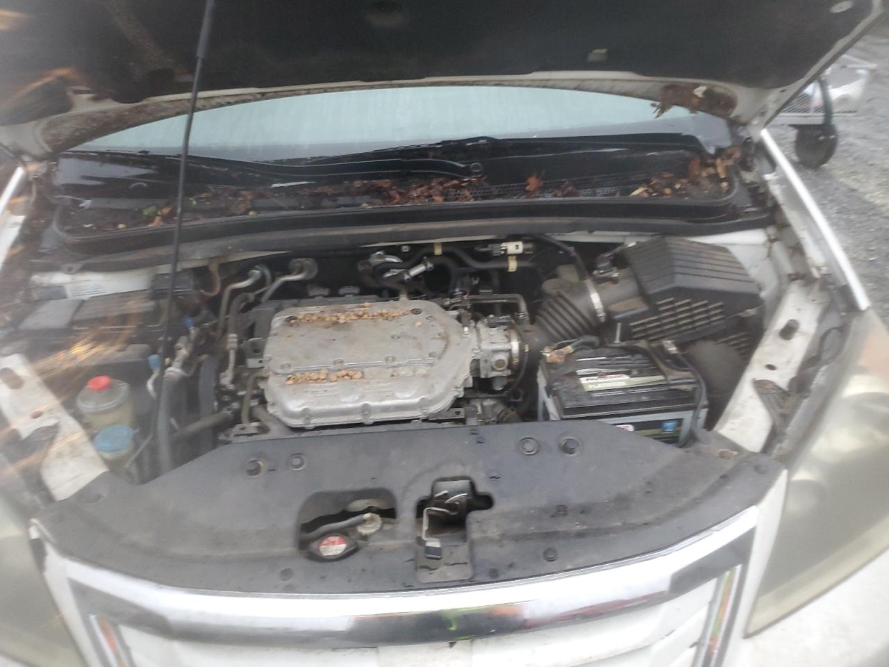 2010 Honda Odyssey - Image 12