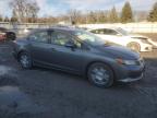 2012 Honda Civic Hybrid للبيع في Albany، NY - Front End