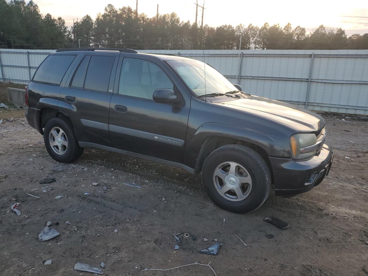 2004 Chevrolet Trailblazer Ls VIN: 1GNDT13S242371660 Lot: 81306814