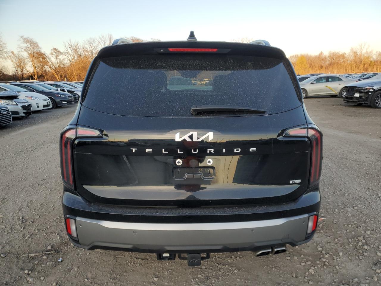 2023 Kia Telluride Sx VIN: 5XYP5DGC1PG387296 Lot: 81587334