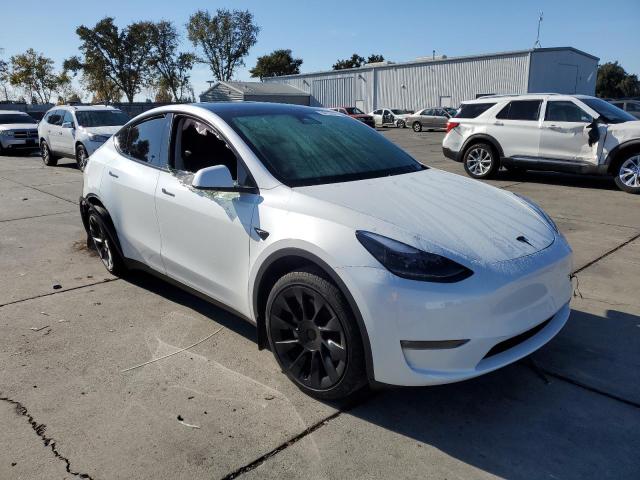  TESLA MODEL Y 2023 Белы