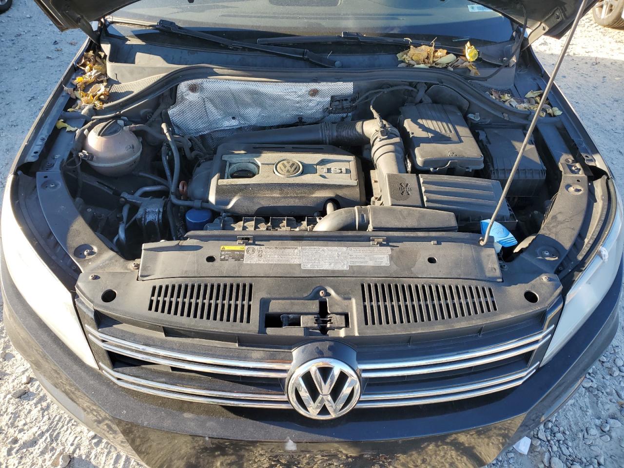 2013 Volkswagen Tiguan S VIN: WVGBV7AX5DW545382 Lot: 79775154