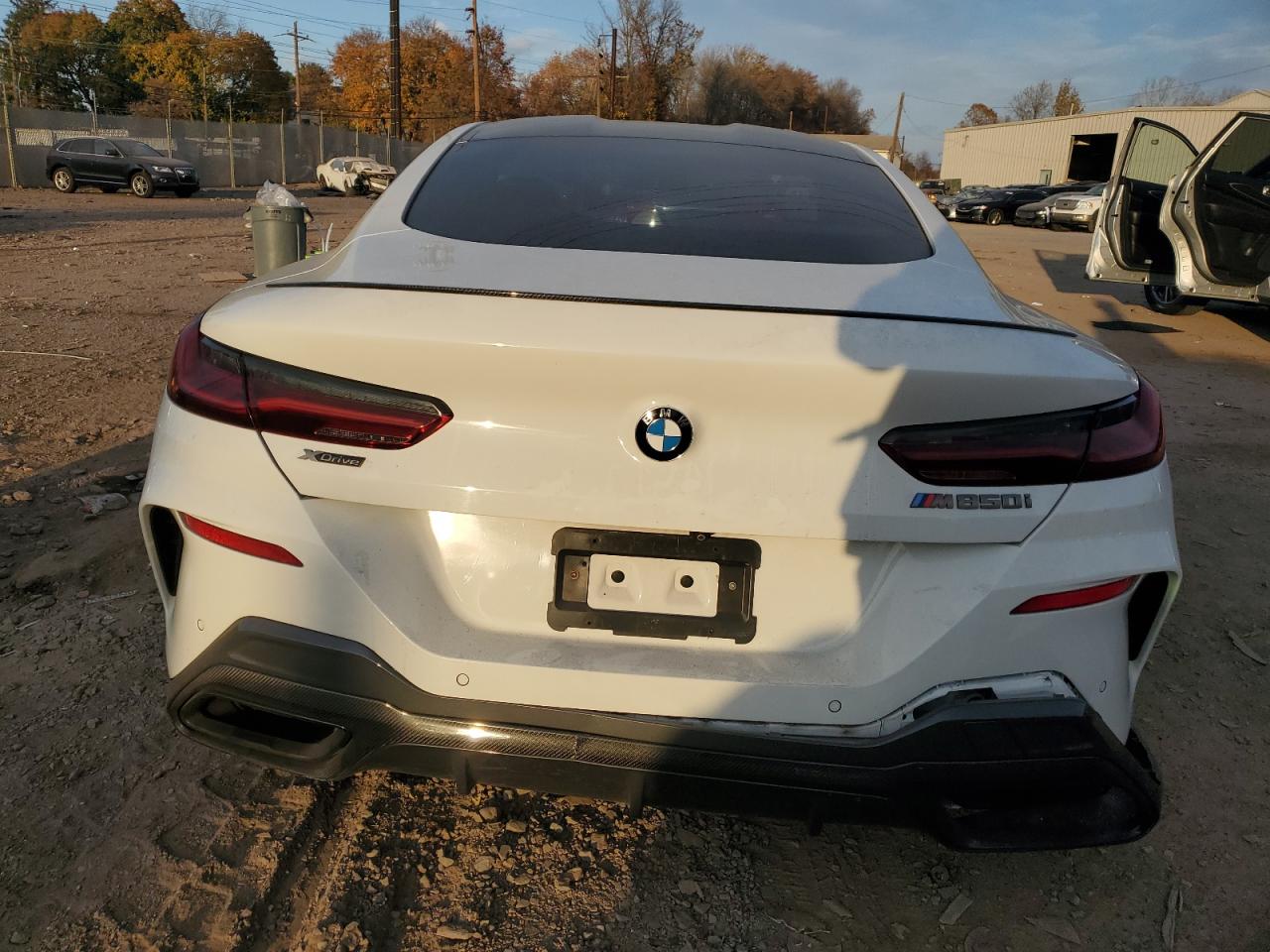 2019 BMW M850Xi VIN: WBABC4C59KBU96564 Lot: 79454194