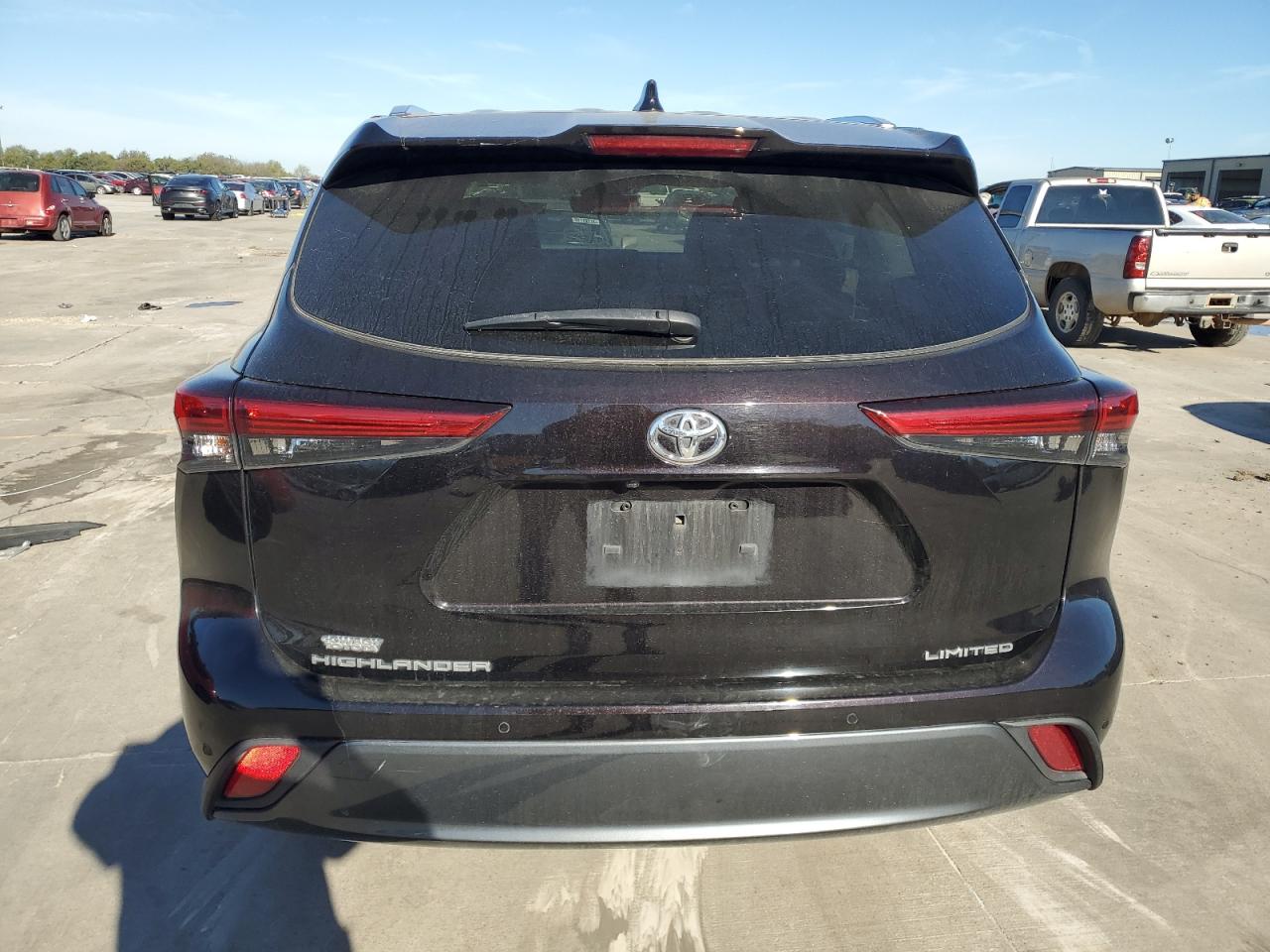 2020 Toyota Highlander Limited VIN: 5TDYZRAHXLS026009 Lot: 80115744