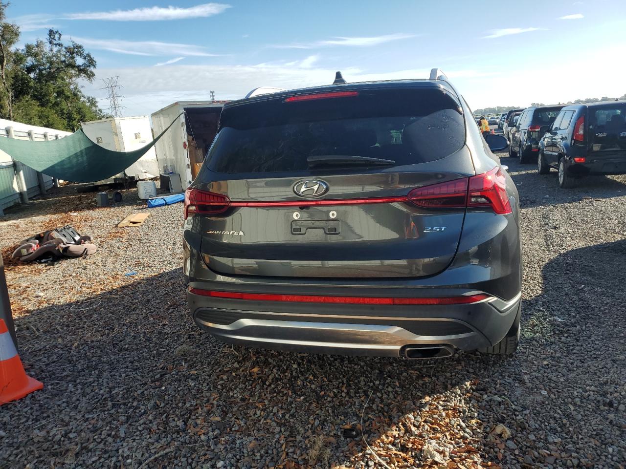 2023 Hyundai Santa Fe Limited VIN: 5NMS44AL6PH485073 Lot: 74856074