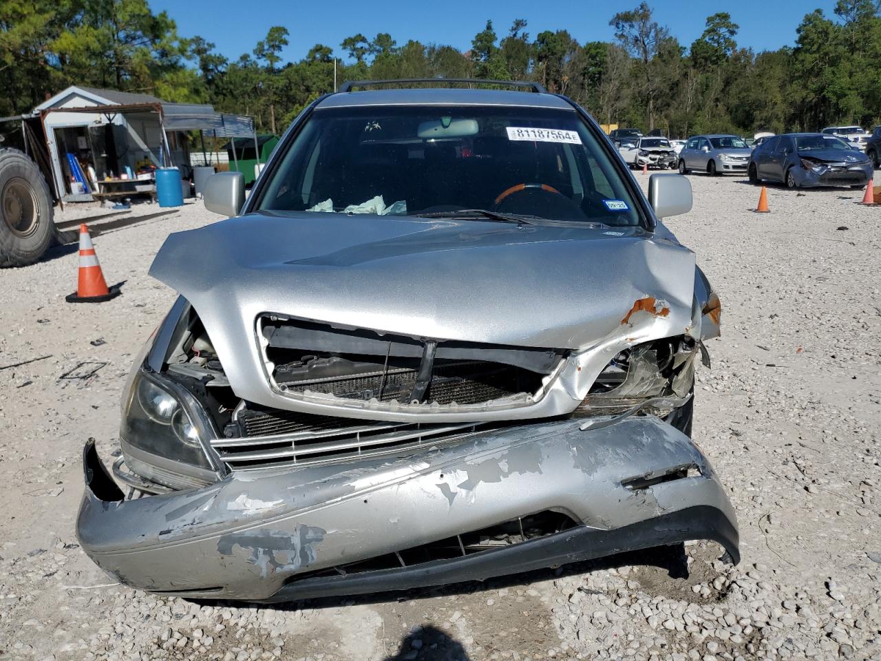 2002 Lexus Rx 300 VIN: JTJGF10U820149732 Lot: 81187564