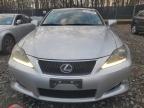 2011 Lexus Is 250 იყიდება Waldorf-ში, MD - Rear End