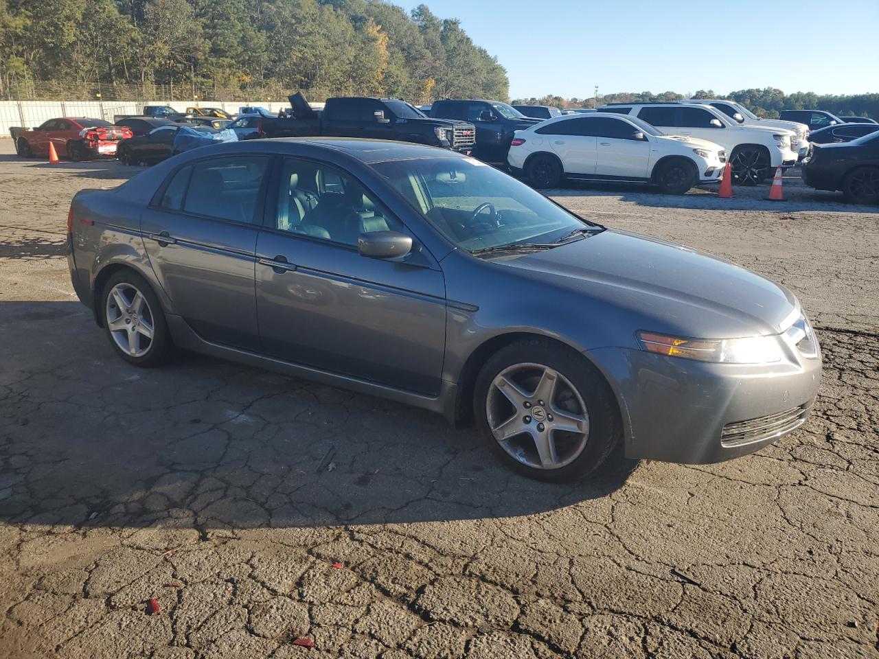 2004 Acura Tl VIN: 19UUA66204A058184 Lot: 81162354