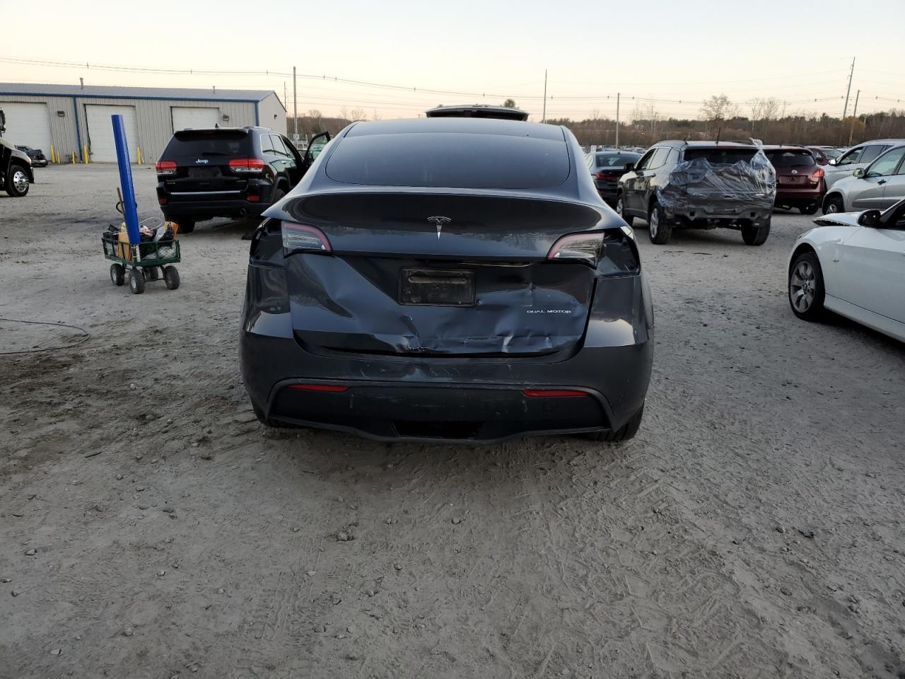 2023 Tesla Model Y VIN: 7SAYGDEE4PA029572 Lot: 81219864