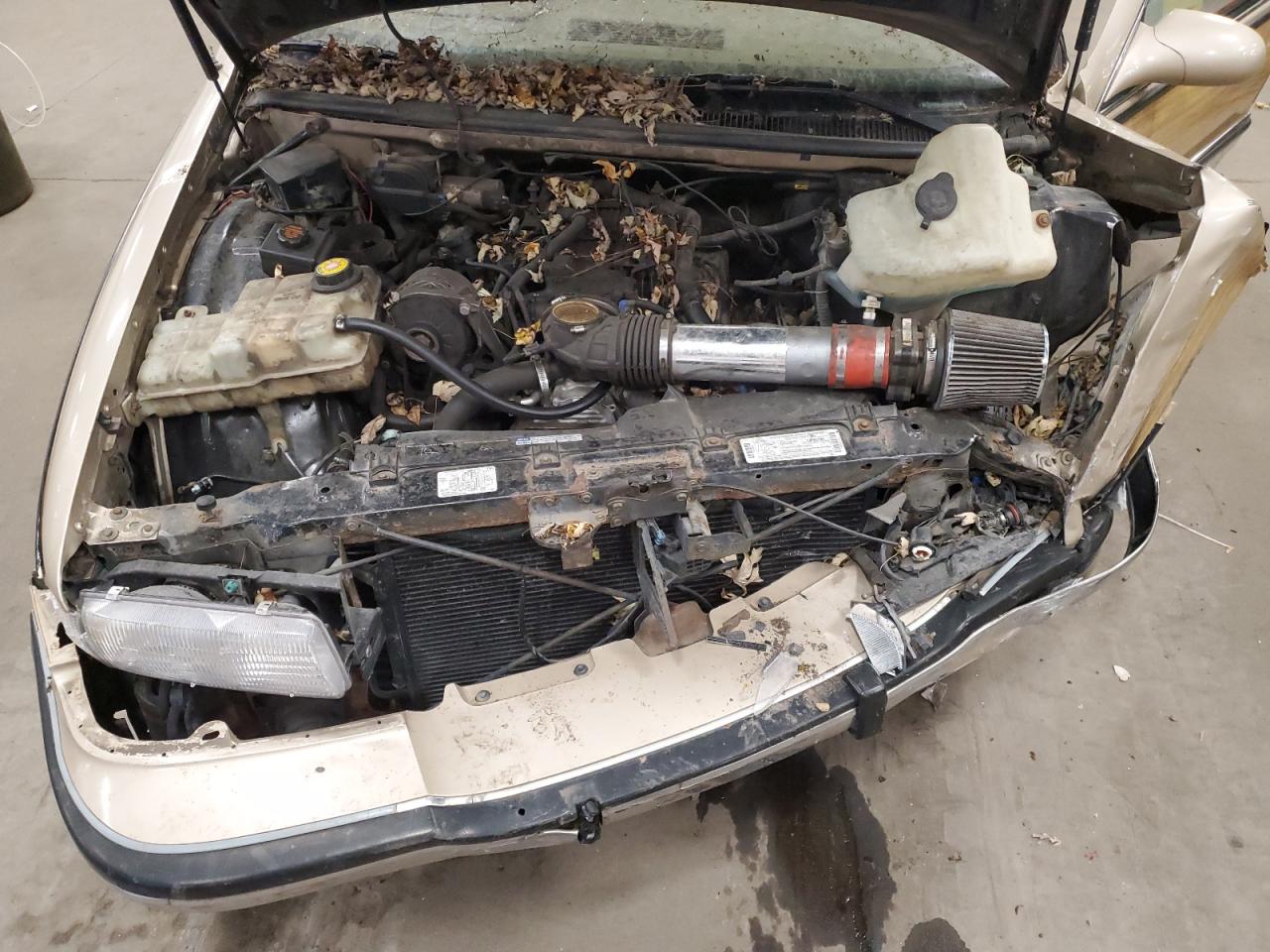1996 Buick Roadmaster - Image 12
