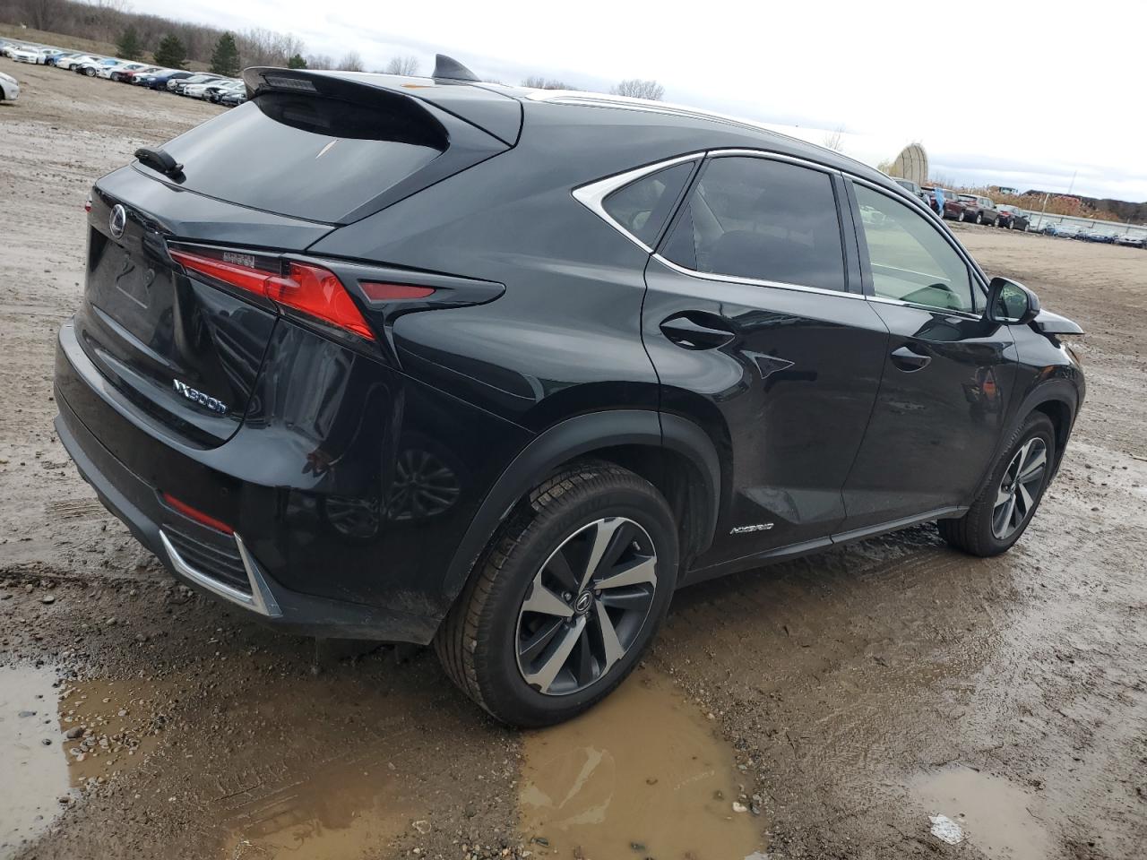 VIN JTJBJRBZ3K2120532 2019 LEXUS NX no.3