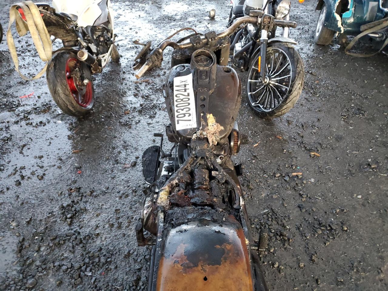2021 Harley-Davidson Flfbs VIN: 1HD1YGK2XMB014663 Lot: 79308244