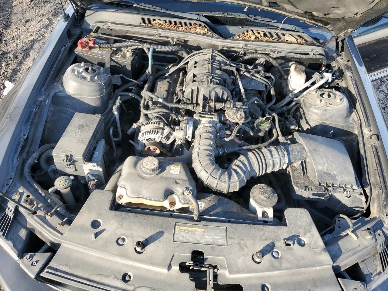 2009 Ford Mustang - Image 11