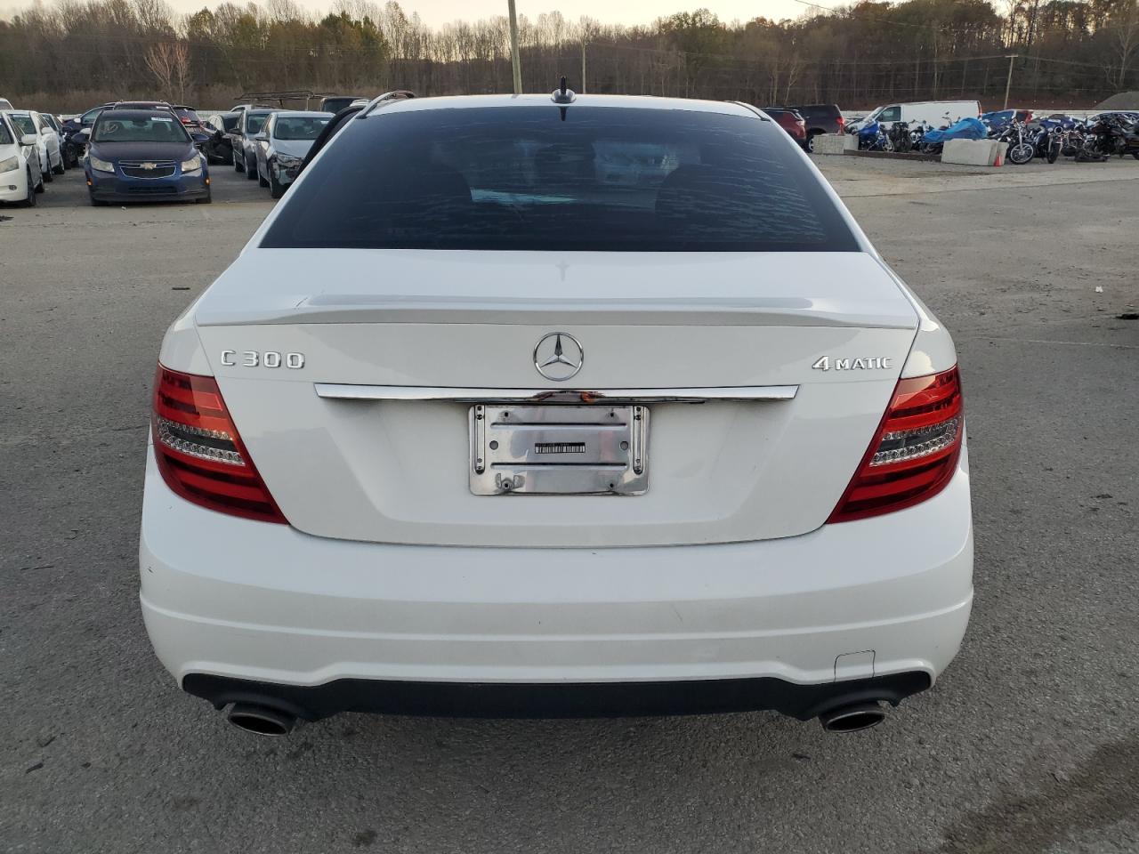 2014 Mercedes-Benz C 300 4Matic VIN: WDDGF8AB8EG176956 Lot: 79966304