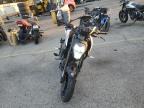 2023 CF MOTO 300NK  for sale at Copart CA - VAN NUYS